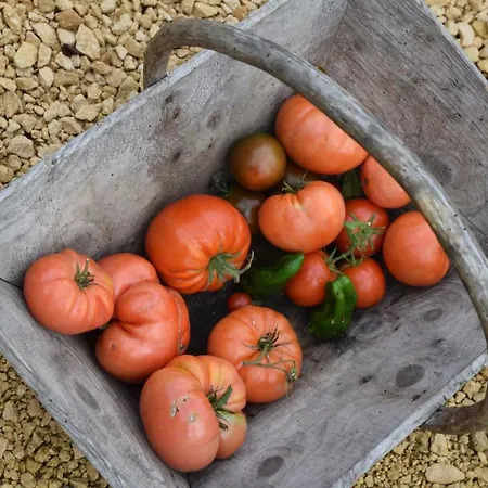 Le Pompon D'or Saint-Pompont