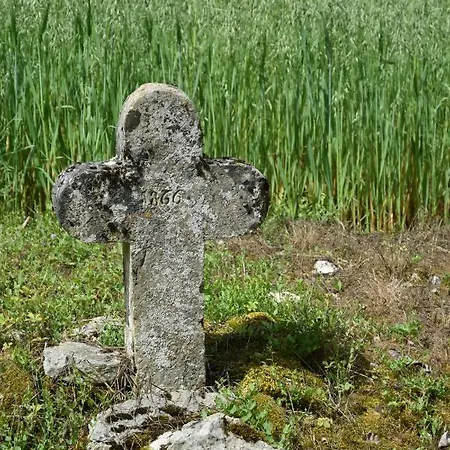 Le Pompon D'or 度假居