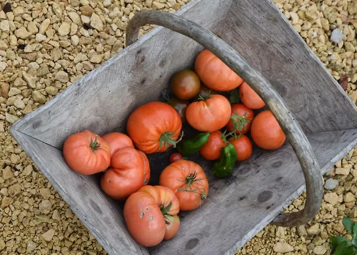 Le Pompon D'or Saint-Pompont