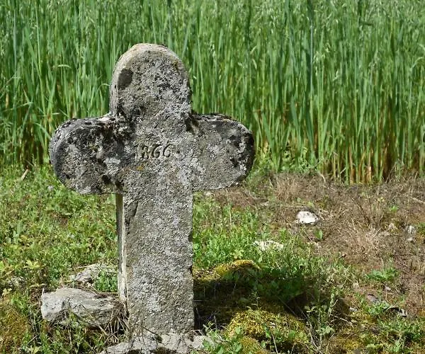 Le Pompon D'or Casa de Férias